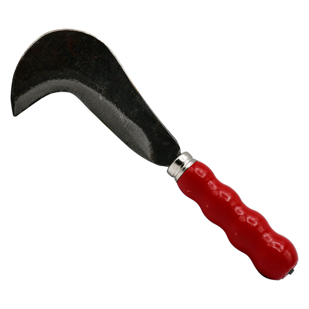SERPETTE DE VIGNE 12 cm