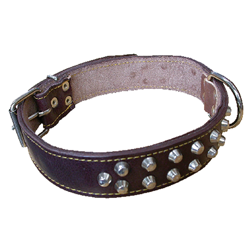 COLLIER POUR CHIEN larg. 30 mm long. 60 cm