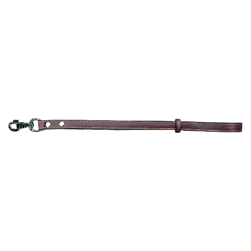 LAISSE POUR CHIEN larg. 18 mm long. 50 cm
