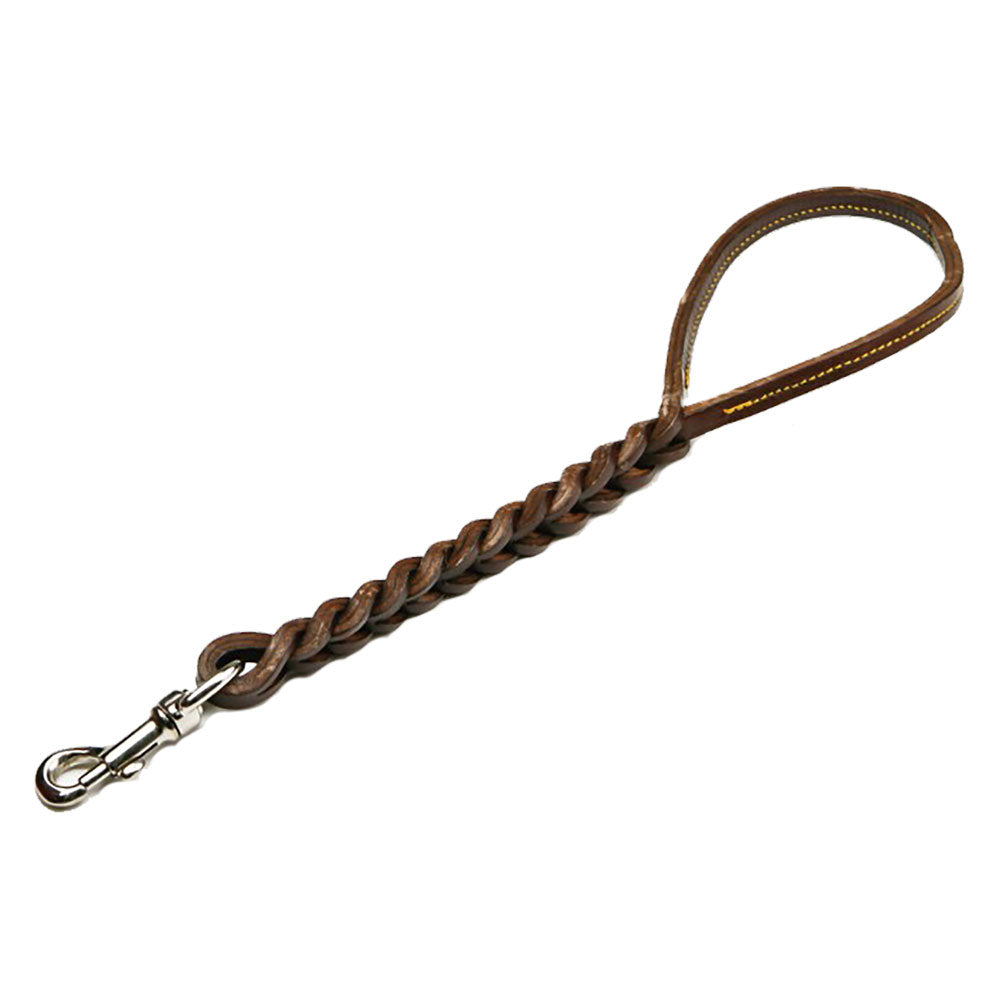 LAISSE POUR CHIEN 45 cm