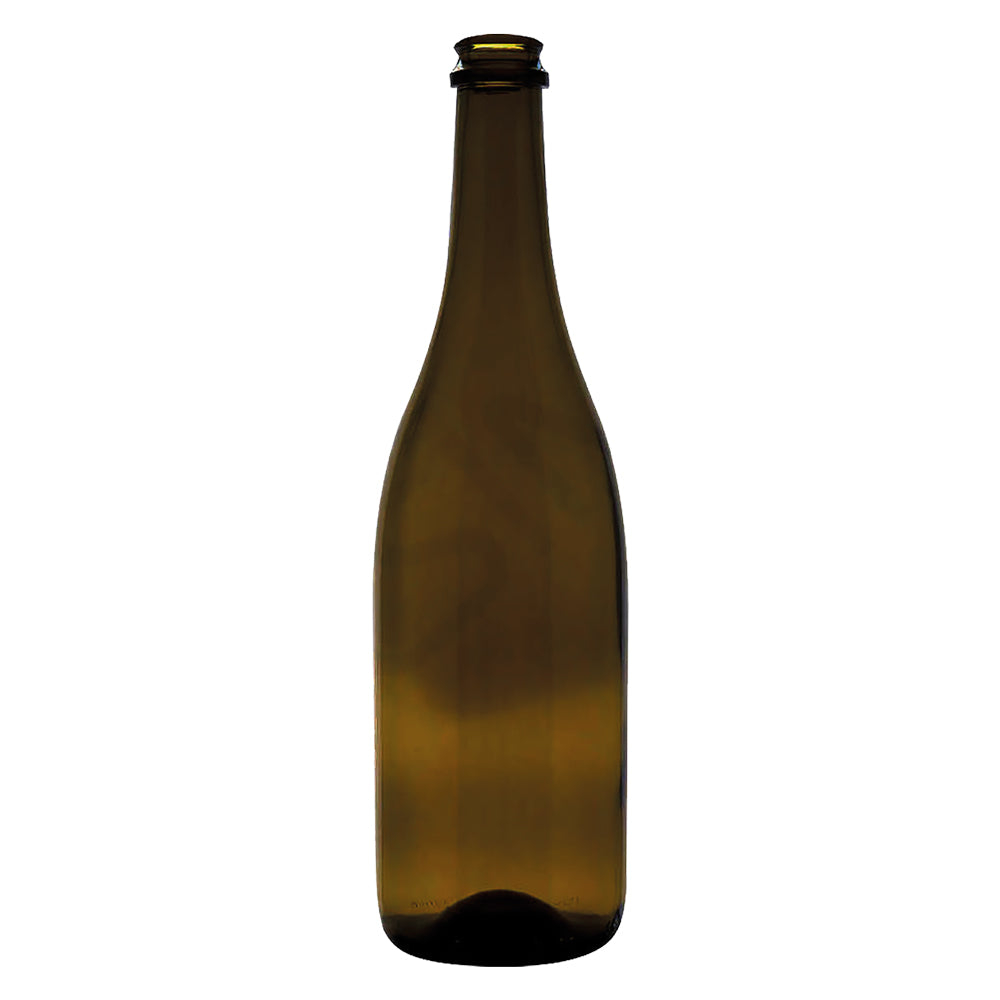 BOUTEILLE EN VERRE TYPE « CHAMPAGNE » 750 ml - couleur antique