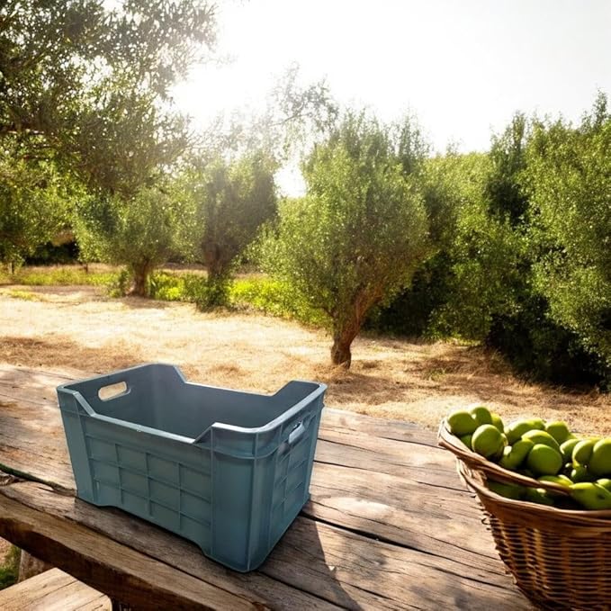 CASSETTA AGRICOLA SOVRAPPONIBILE CHIUSA 40 lt - 52x36x30 cm