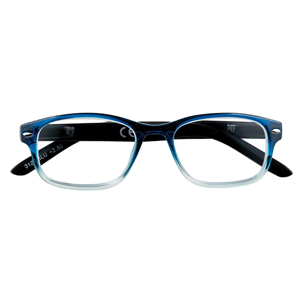 OCCHIALI PER LETTURA 'B1-BLU' + 2,50