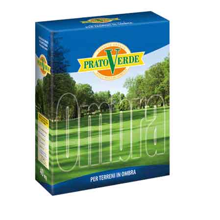 RASENSAAT SCHATTENRASEN 'OMBRA' 1 kg