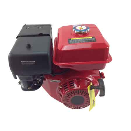 MOTOR FÜR MOTOREGGESEN CARDINALE
