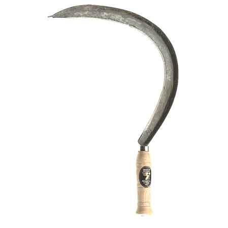 SENSE SICHEL ROMA MIT COSTA ANGELO B. Nr. 0/1