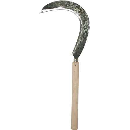 RÜBENHACKE 50 cm