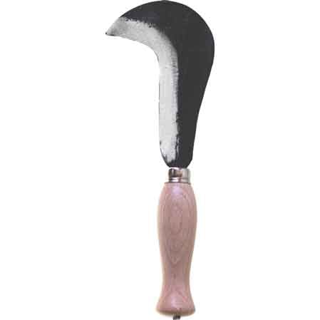 SERPETTE DE VIGNE 12 cm