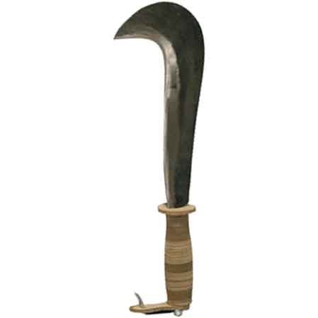 SERPE À ÉRAFLER TYPE « VARESE » FALCI 25 cm