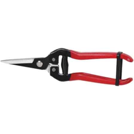 FORBICI COGLIFRUTTA E ORTAGGI CARDINALE 19 cm