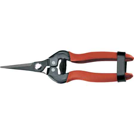 FORBICI COGLIFRUTTA E ORTAGGI AUSONIA 19 cm