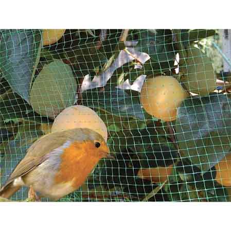 FILET ANTI-OISEAUX CARDINAL 4x10 m - couleur verte