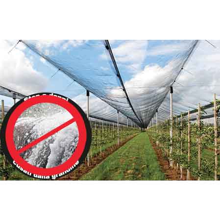 HAGELSCHUTZNETZ CARDINALE Rolle 4x100 m (gefaltet 2 m) – Farbe Grün