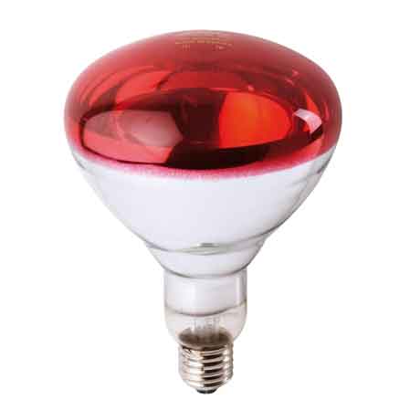 LAMPADA INFRAROSSI PER RIFLETTORE PHILIPS 150 Watt - Colore Rosso