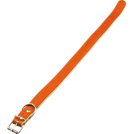 COLLIER POUR CHIEN BUFFLE TANNÉ 20x440 mm
