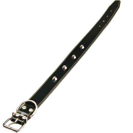 COLLARE PER CANI FODERATO CON BORCHIE 30x560 mm