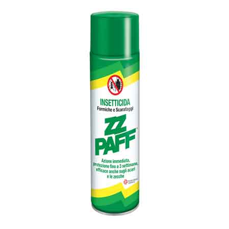 INSECTICIDE SPRAY CAFARDS ET FOURMIS 300 ml