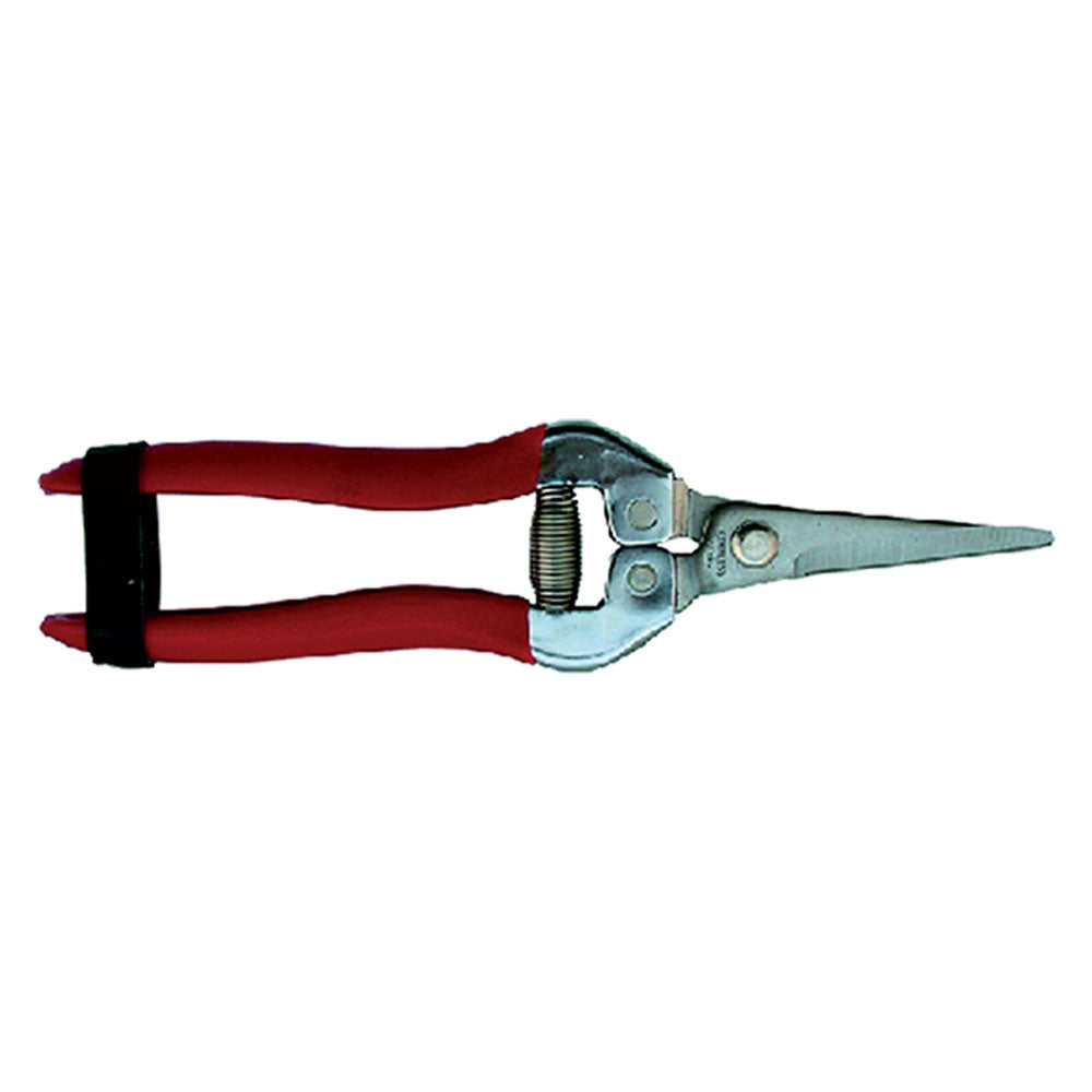 Zitrusfrüchte-Schere 19 cm