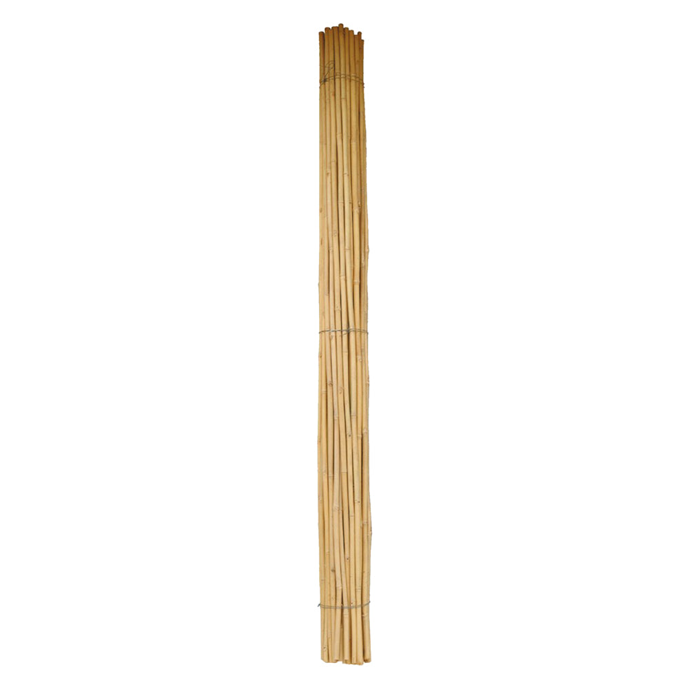 Bambusrohr Ø 28/30 mm. ca. – H. 2,1 m