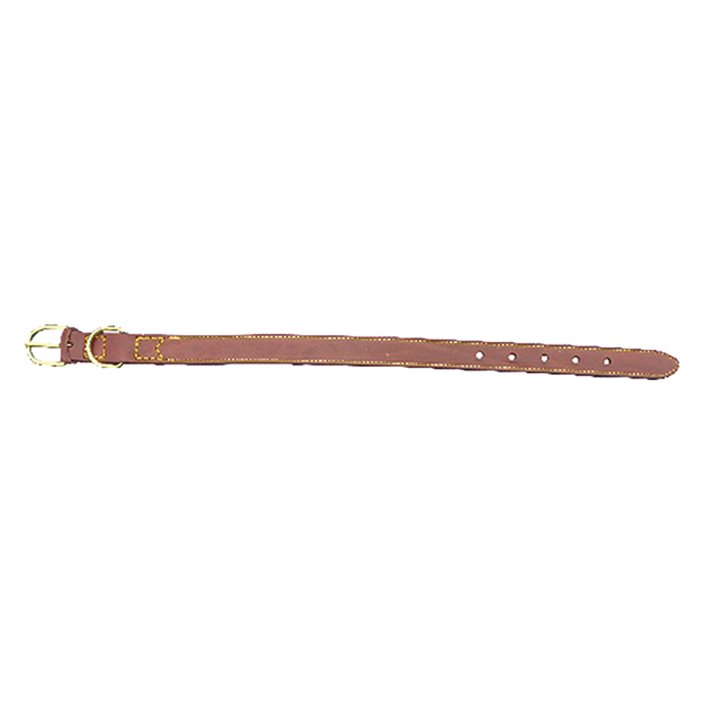HUNDEHALSBAND Breite 25 mm, Länge 56 cm