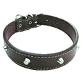 COLLIER POUR CHIEN larg. 25 mm long. 55 cm