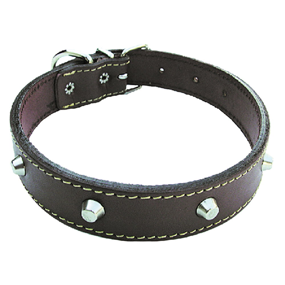 COLLIER POUR CHIEN larg. 25 mm long. 55 cm