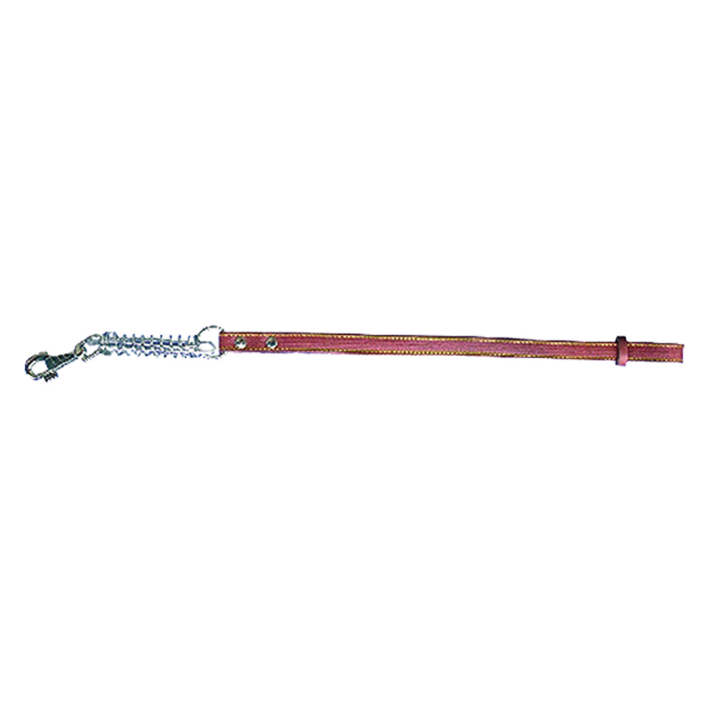 LAISSE POUR CHIEN larg. 18 mm long. 70 cm