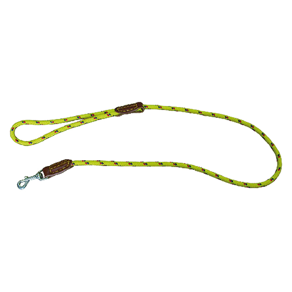 LAISSE POUR CHIEN mm 8 x cm 110