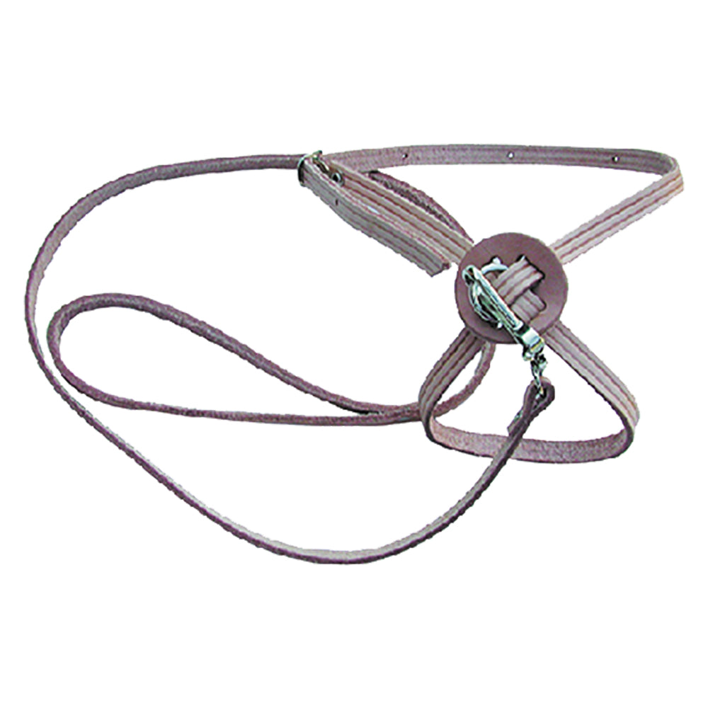 LAISSE POUR CHIEN/CHAT larg. 10 mm long. 60 cm