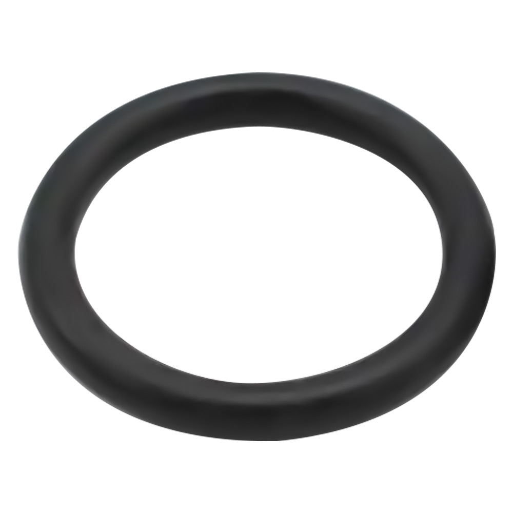 O-RING PER MOTOPOMPA IRRORATRICE mm. 3,53 x 21,82