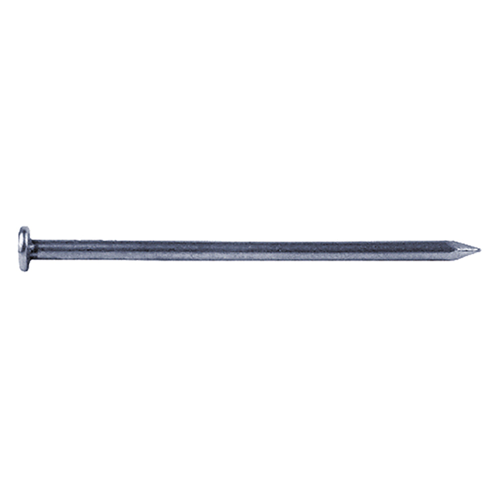 CLOUS TÊTE PLATE mm 2,0 x 30 - gr. 250