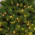 LED-Lichterkette 'TL-C' 500 LEDs kaltweiß - 22 m (20+2)