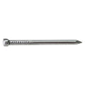Nägel Senkkopf TG 10 x 30 mm
