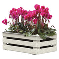 Jardinière « TINA FLOWER » 25 x 15,5 x H.10,5 cm