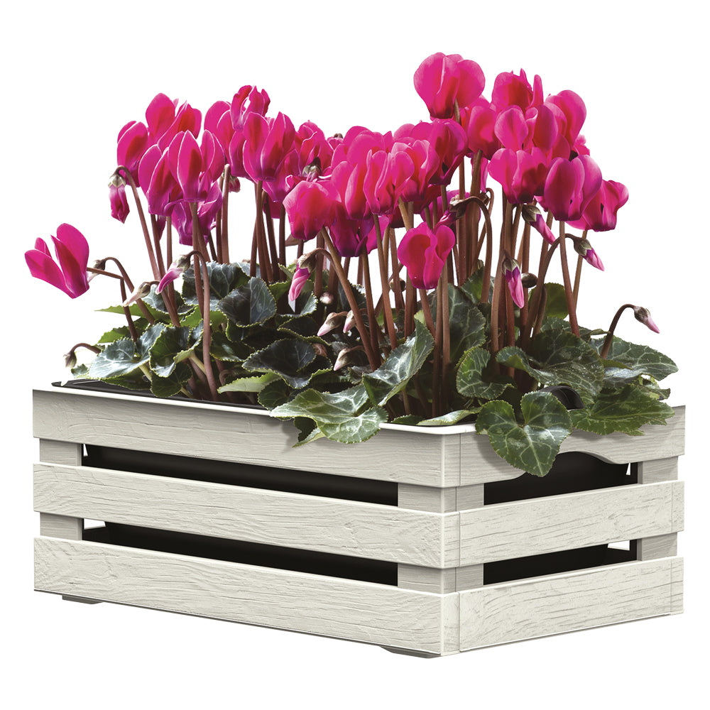 Jardinière « TINA FLOWER » 25 x 15,5 x H.10,5 cm