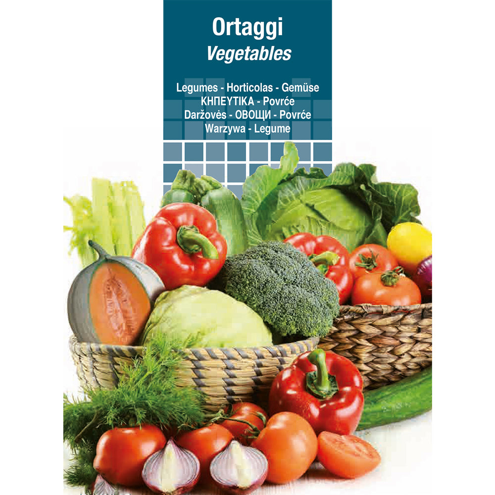 SEMENCES DE LÉGUMES carotte longue obtuse