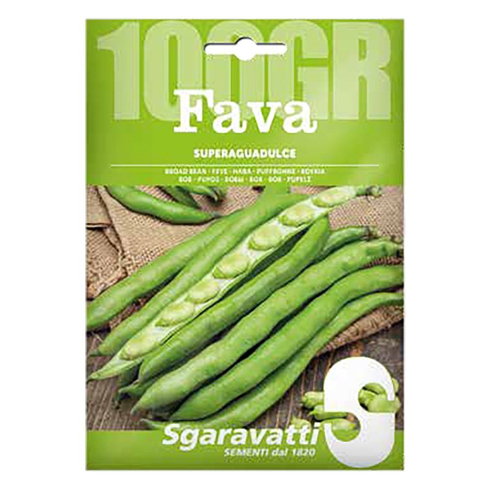 SEMENCES POUR FÈVES fève superaguadulce - gr 250