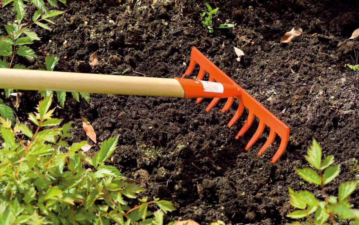RATEAU DE JARDIN CARDINAL 12 dents (30 cm)