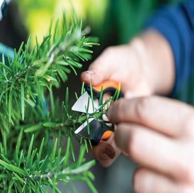 CISAILLES À HERBES AROMATIQUES « SOLID SP220 » FISKARS 13 cm
