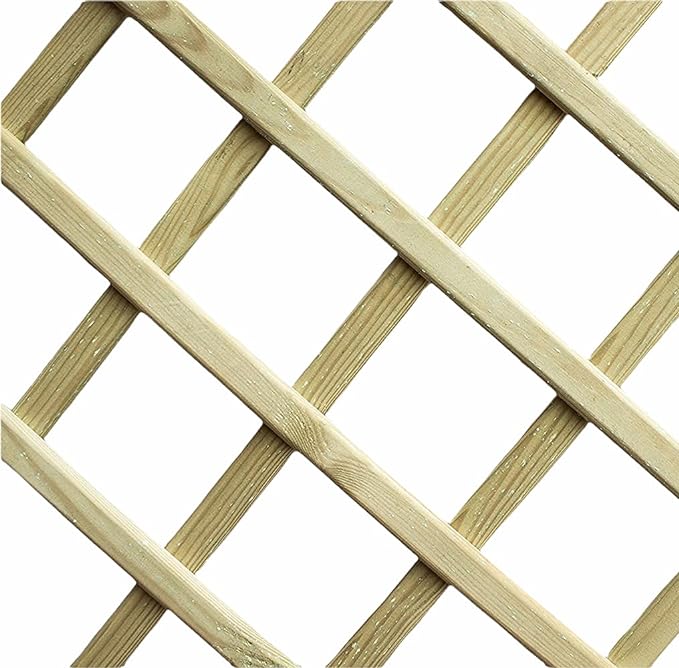 RANKGITTER 'ARCO' 90x180 cm (H)