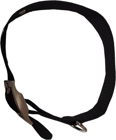 HALSBAND FÜR HUNDE AUS GEFÜTTERTEM NYLON, KARMINROT, 15 mm x 40 cm