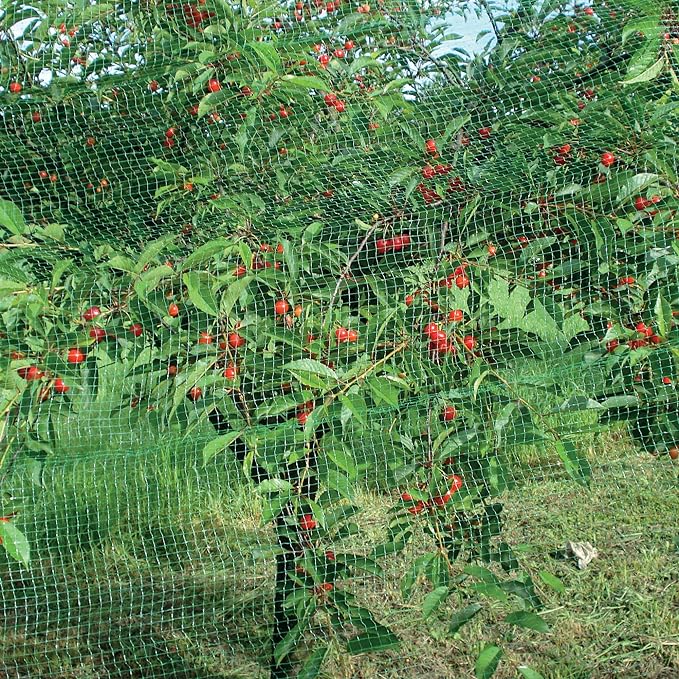 FILET ANTI-OISEAUX CARDINAL 2x5 m - couleur verte