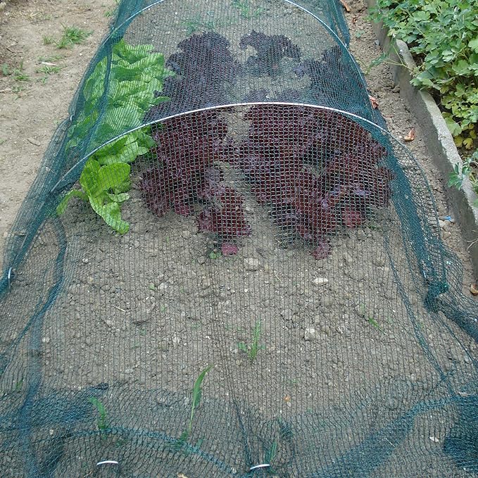 RETE ANTIGRANDINE CARDINALE rotolo 3x100 mt (piegato 1,5 mt) - colore verde