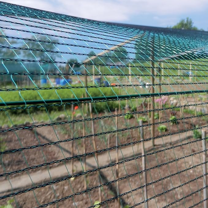 RETE ANTIGRANDINE CARDINALE rotolo 3x100 mt (piegato 1,5 mt) - colore verde