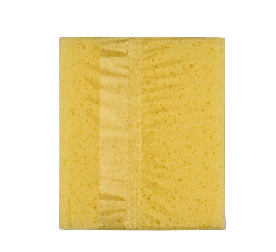 WASCHSCHWAMM 'WIZZY MAXI' AREXONS 10x15x17 cm