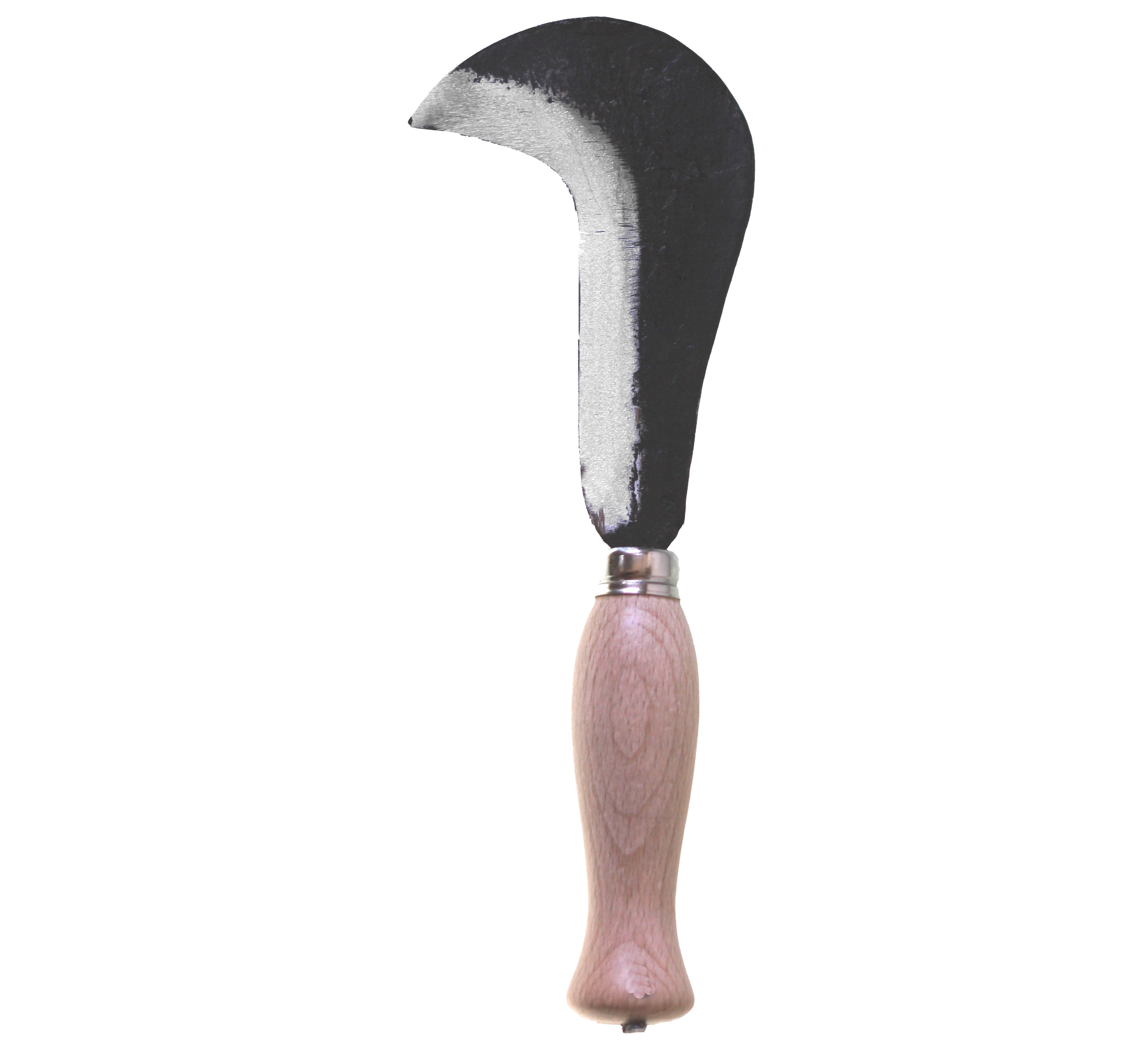 SERPETTE DE VIGNE 12 cm