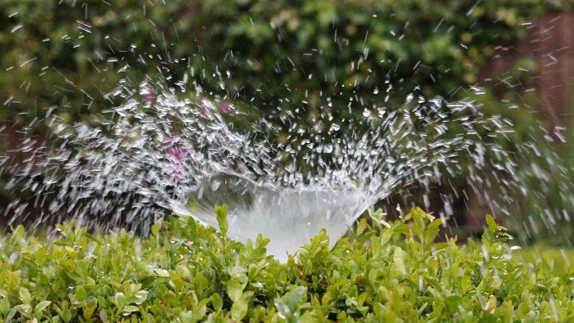 IRRIGATORE SU PUNTALE CARDINALE 5 getti