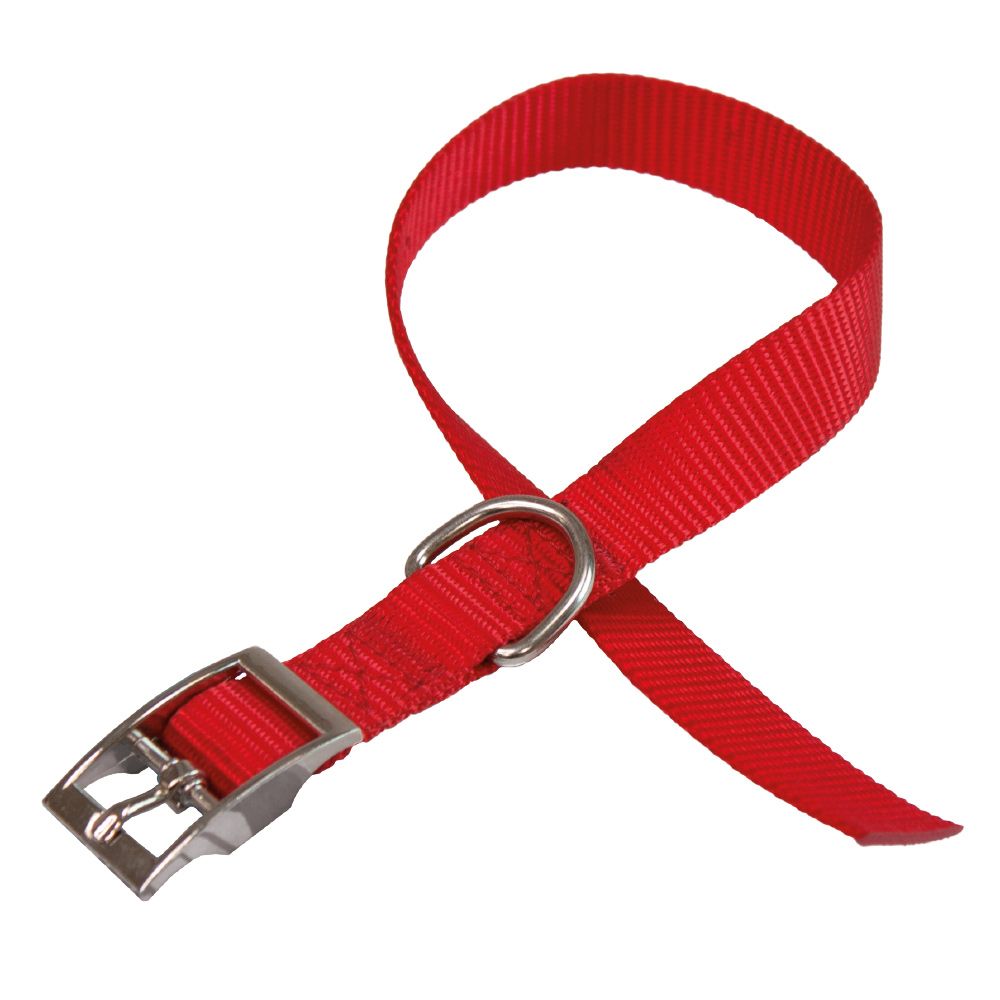 COLLARE PER CANI 'DAYTONA C' mm 15xcm 27÷35 - Colore Rosso