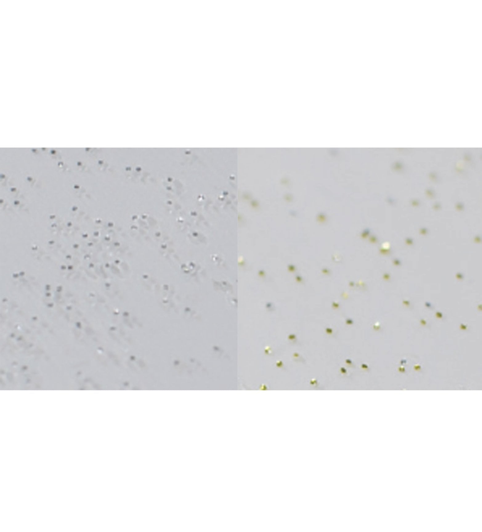 TOVAGLIATO CRISTAL GLITTERATO 'ORO' - H. 140 cm - rotolo 30 mt