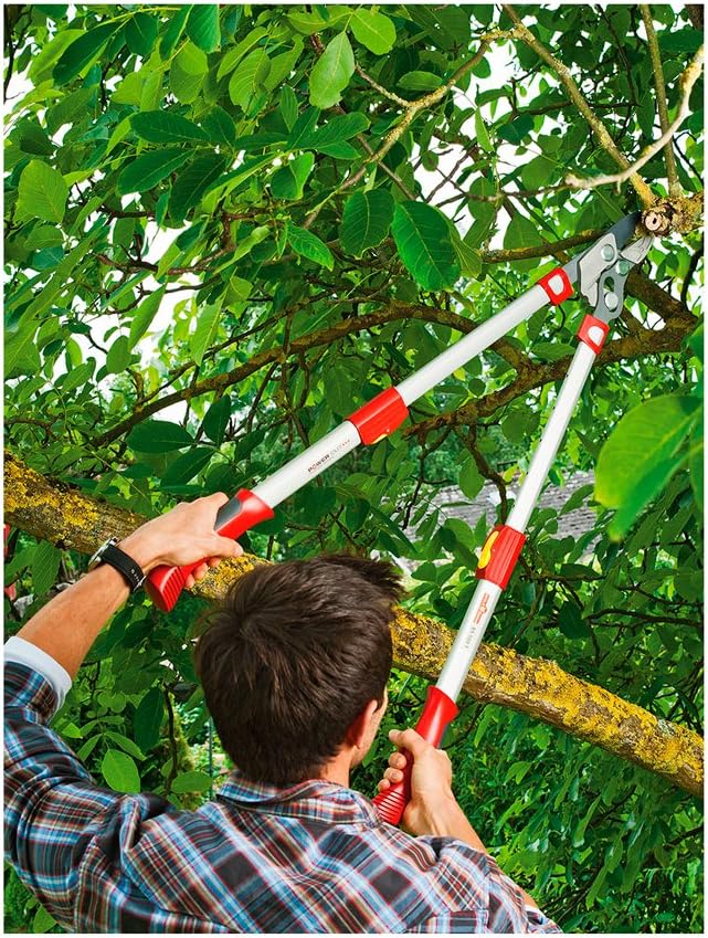 TELESKOP-AMBOSS-ASTSCHERE CARDINALE 65-87 cm